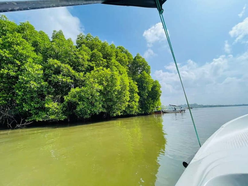 Bentota: River Safari with Hotel Pickup and Drop-Off - Mangrove scenery and river sounds: the part you’ll remember later
