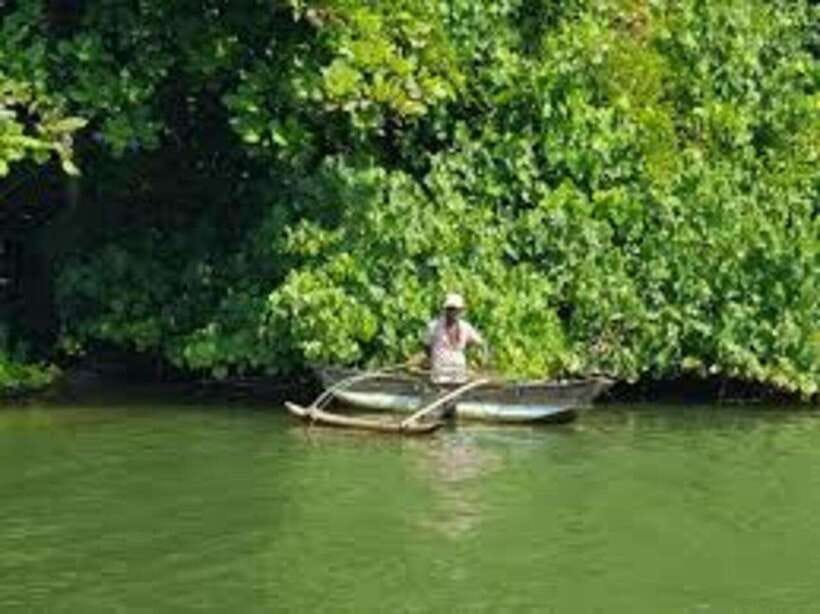 Bentota: River Safari with Hotel Pickup and Drop-Off - Finding the boat near Bentota Bridge (and what the ride feels like)