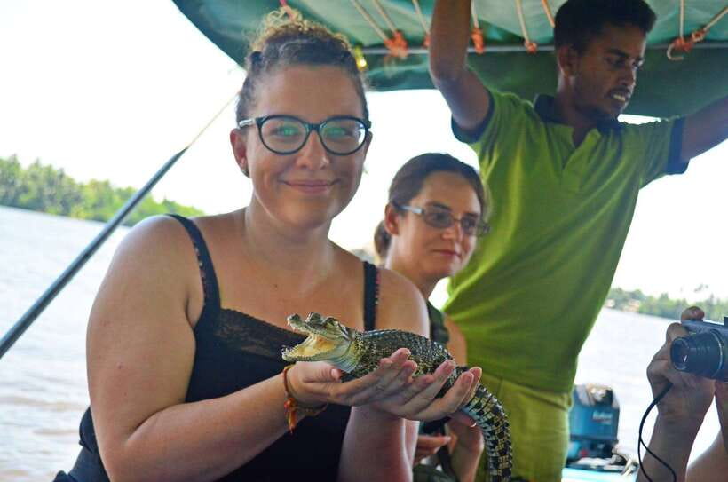 Bentota River Safari with Mangrove and Wildlife Encounter - The boat time that makes the difference: 2 hours on the water