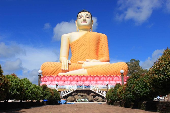 Bentota Village Tour with River Safari & Tea Plantation/Factory - All Inclusive - Tea plantation and factory: from leaf to processing you can understand