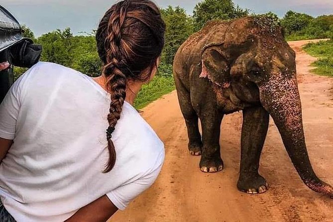 Best Of Sri lanka Tour (06 Days 05 Nights) - Kandy- N.Eliya -Bentota-Colombo - Quick highlights to know before you go