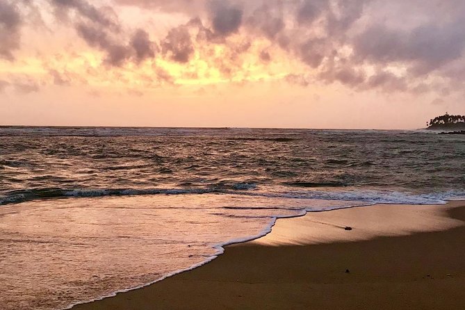 Best Of Sri lanka Tour (06 Days 05 Nights) - Kandy- N.Eliya -Bentota-Colombo - Kandy in one day: Tooth Relic, waterfalls, and tea stops