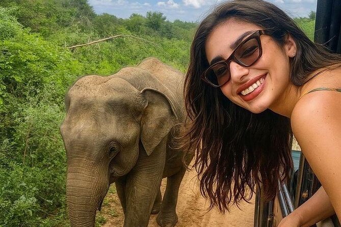 Best Value Yala Safari: Spot Leopards, Elephants & Bears (Shared) - Key highlights you’ll feel right away