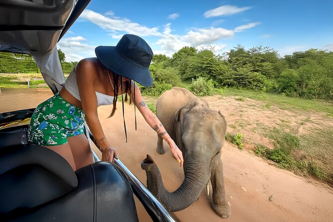 Best Yala Shared Leopard Safari: Tissamaharama Wildlife Tours - Comfort and photo strategy: jeeps, timing, and quick readiness