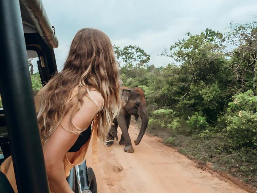 Budget Yala Safari with Accomadation & Meals Included - Key points worth knowing before you go