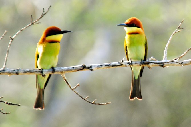 Bundala Birding Paradise - All Inclusive Tour - Included fees, mobile ticket, and the small things that reduce hassle