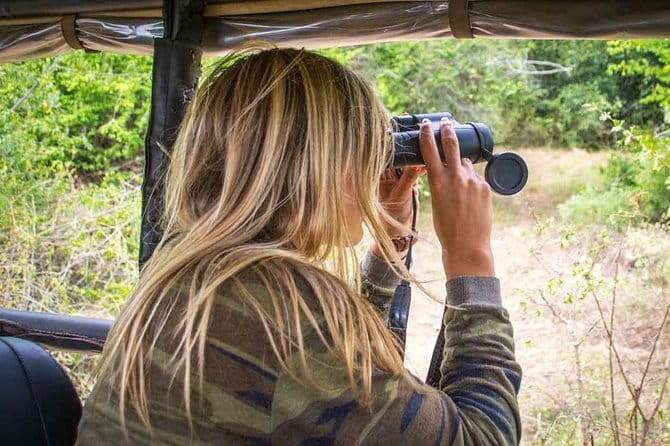 Bundala National Park by Ajith Safari - Morning schedule: early pickup, first drive, and why 6 a.m. matters