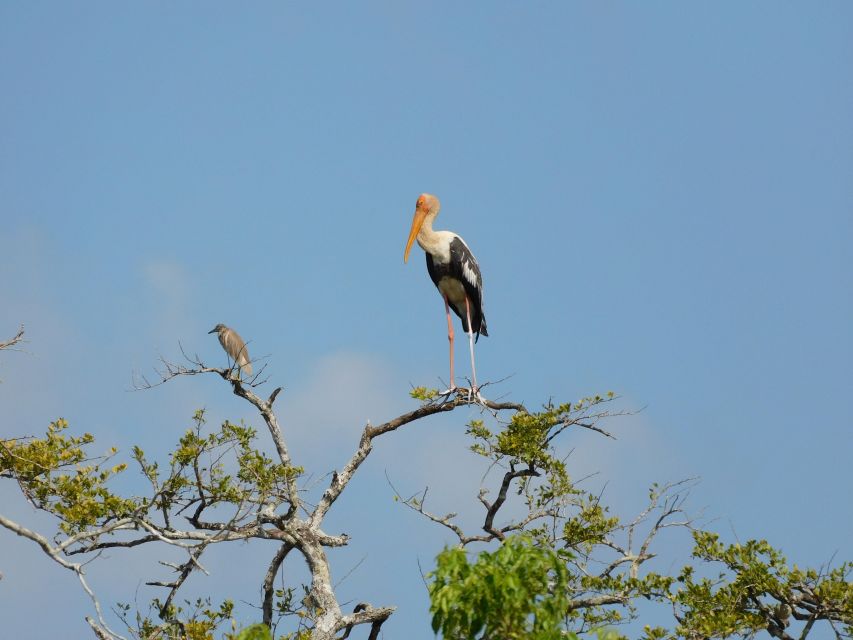 Bundala National Park Safari (PRIVATE TOURS) - So who should book this Bundala private safari?
