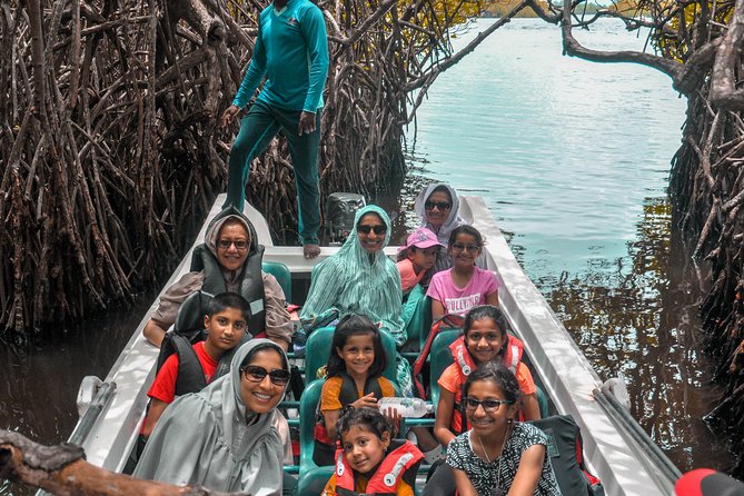 Coastal Ride to Galle from Colombo - Timing, Comfort, and What to Bring for a 10-Hour Day