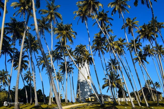 Colombo City Tour By Tuk Tuk (Include Lunch)Morning & Evening - Lunch, Tea or Coffee Stops, and What You Finish With