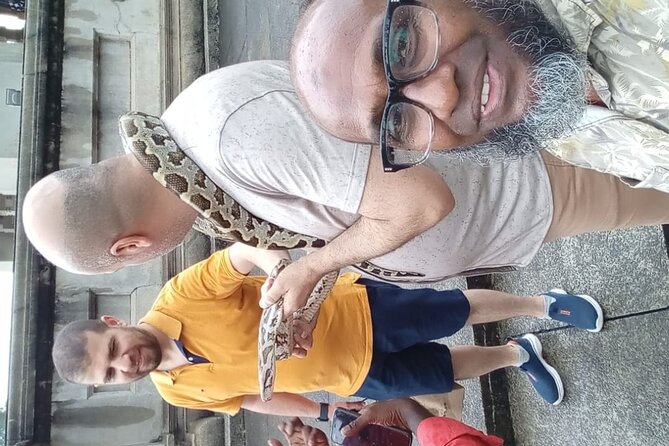 Colombo City Tour By TukTuk Style Morning and Evening - Viharamahadevi Park and Gangaramaya Temple: the calm chapters