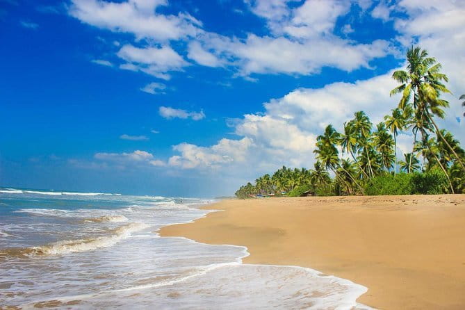 Colombo (CMB) Airport to Kandy City Private Transfer - Price and Value: Is $48 per Person a Good Deal?