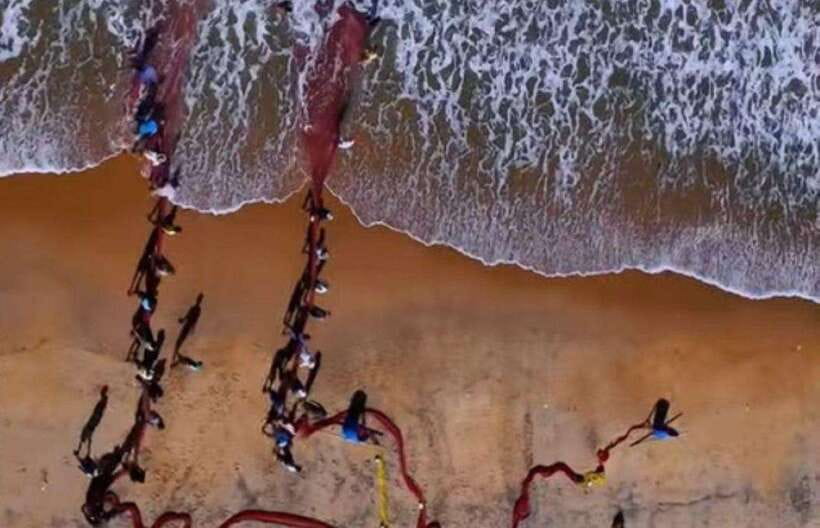 Colombo-Galle Fort, Boat Safari, Turtles, Amazing Group Tour - Key highlights worth noting