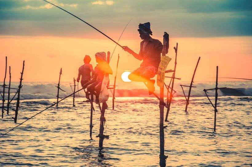 Colombo-Galle Fort, Boat Safari, Turtles, Amazing Group Tour - A full day that’s built around wildlife and real places