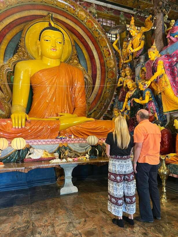 Colombo: Guided City Tour - Pickup, layovers, and cruise gate reality checks
