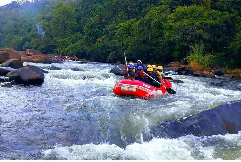 Colombo/ Negombo: Kithulgala White Water Rafting Adventure - Why Kelani River rafting from Kithulgala is such a good half-day