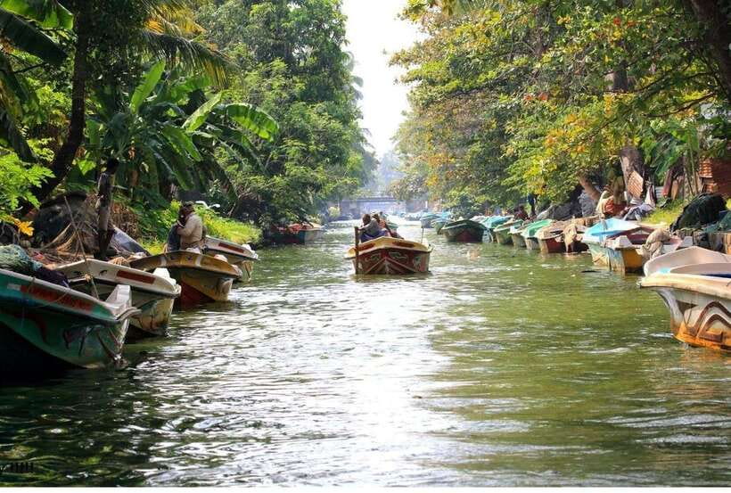 Colombo/Negombo: Muthurajawela & Dutch Canal Boat Adventure - The First Cruise Inside Muthurajawela Wetlands