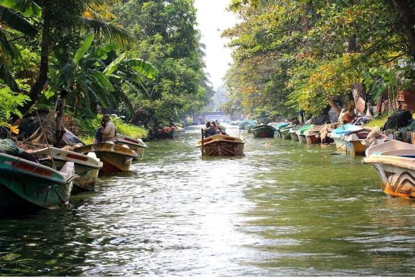 Colombo/Negombo: Muthurajawela & Dutch Canal Boat Adventure - Tips to Make Your Wildlife and Photo Time Easier