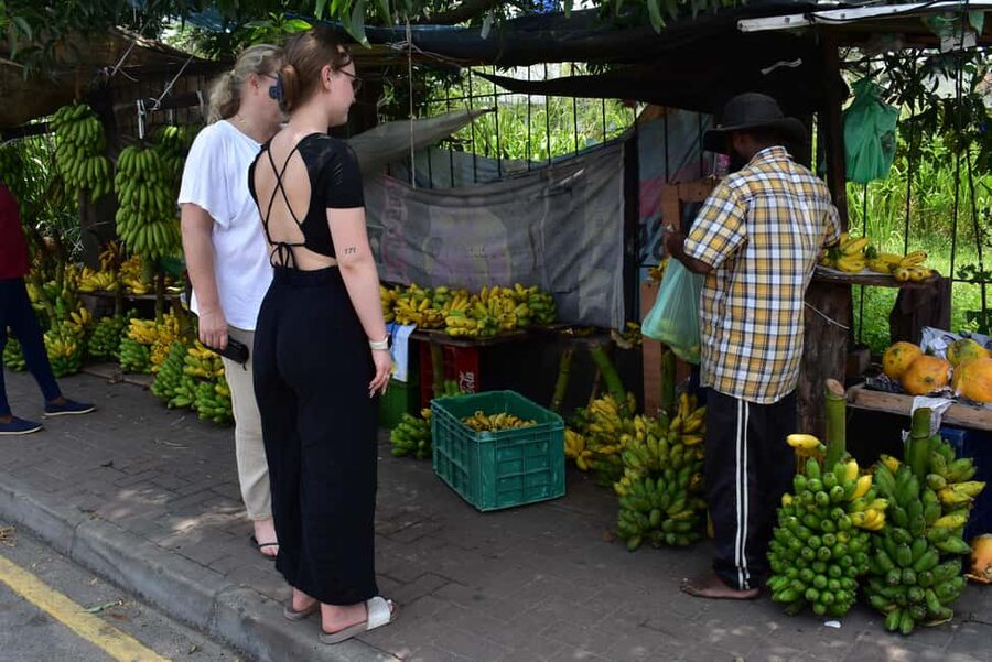 Colombo: private city tour from Negombo with hotel transfers - Kotahena temple stop for a deeper cultural finish