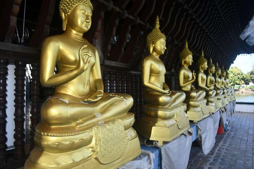 Colombo Shore Excursion, History Legacy and hidden gems - Galle Face Green walk, where Colombo breathes