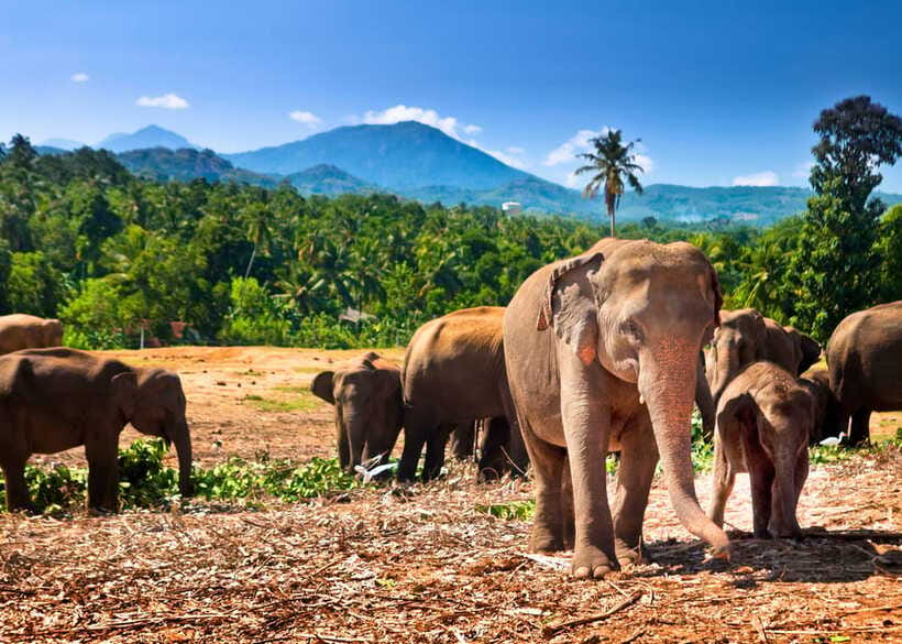 Colombo: Sri Lanka Cultural Triangle Hotspots 2-Day Tour - Group size, transport, and your guide: the practical difference between easy and exhausting