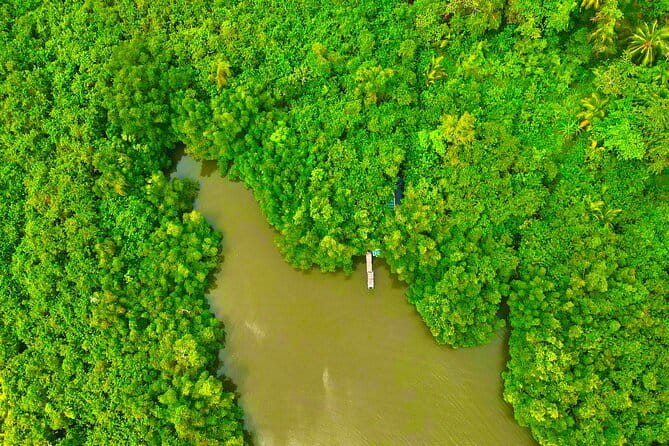 Colombo to Galle All Inclusive Private Day Tour - Madu River safari by Nilwala: mangroves, islands, a temple, and fish therapy