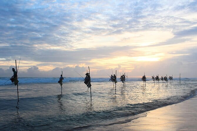 Colombo to Galle All Inclusive Private Day Tour - Koggala stilt fishermen: where the photos happen, and why tips may come up
