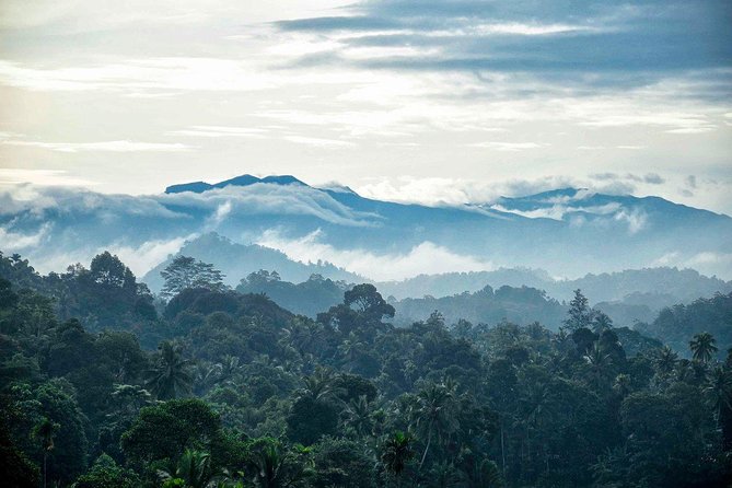 Colombo to Kandy Train Tickets (Reserved Seats) - Key points to know before you go