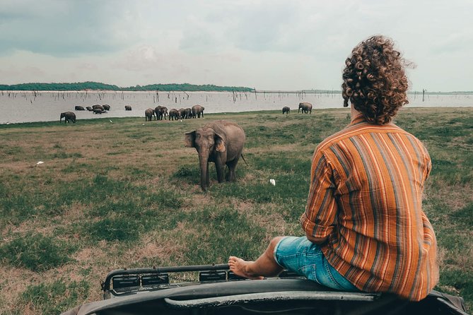 Colombo to Trincomalee Shuttle & Safari Drive - Price, what is included, and where extra costs show up