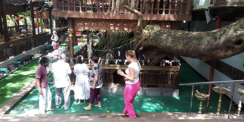 Colombo Tuk Tour with Food and Drinks(morning and evening) - Key Points to Know Before You Go