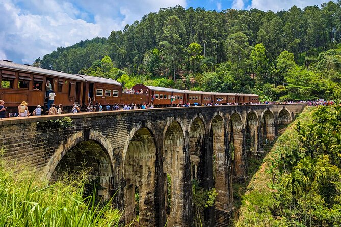 Customized Multi-Day Private Tour Packages in Sri Lanka - Getting started in Negombo with a 7:00 am rhythm