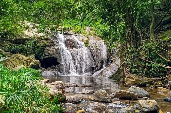 Customized Multi-Day Private Tour Packages in Sri Lanka - Day 3 in tea country: Damro Labookellie, falls, Victoria Park, Hakgala