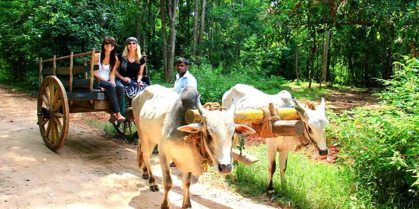 Dambulla: Cave Temple and Village All-Inclusive Tour - What to pack and what rules to follow