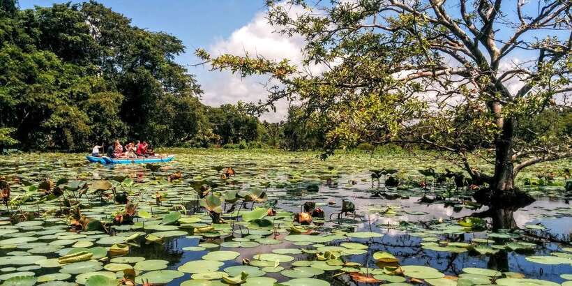 Dambulla: Cave Temple and Village All-Inclusive Tour - Lake catamaran ride: the calm break in the middle