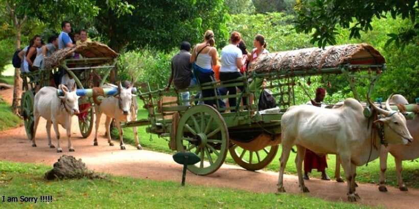 Dambulla: Caves Temple & Traditional Village Tour with Lunch - Key things to know before you go