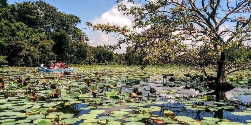 Dambulla: Caves Temple & Traditional Village Tour with Lunch - Golden Temple area and the in-between moments