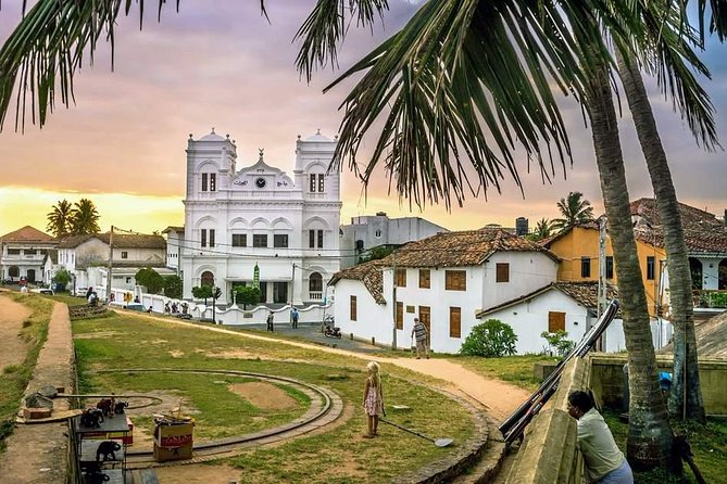 Day Excursions to Galle Fort & Bentota from Colombo - Kosgoda Sea Turtle Conservation Project: the most meaningful stop