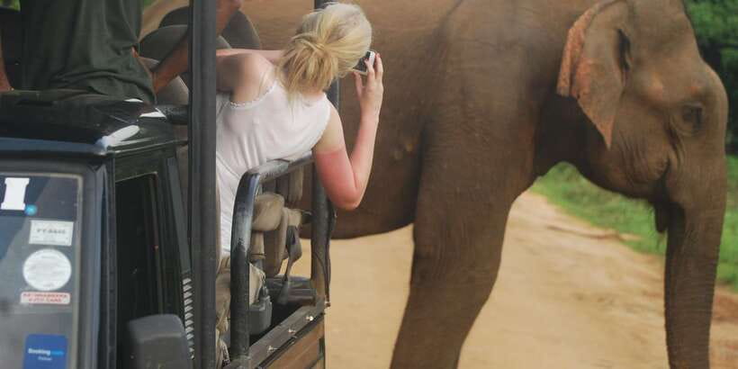 Day Safari From Hambantota - Key Highlights at a Glance