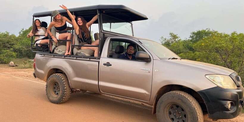 Day Safari From Hambantota - What the Jeep Setup Means for Your Viewing (and Your Comfort)