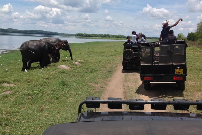 Day Tour from kandy to Sigiriya, Dambulla & National Park safari. - Key Things to Know Before You Go
