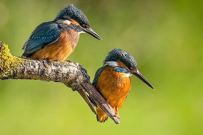 Day Tour to Anawilundawa Wetland Sanctuary - Key things to know before you go