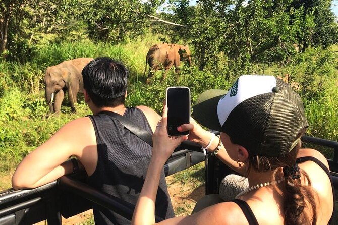 Day Tour to Dambulla, Sigiriya and Safari from Kandy (Group Tour) - Minneriya National Park Safari: Elephants in Their Natural Habitat