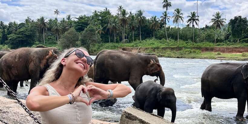 Day Tour to Elephant Orphanage / spice garden - Price and value: what $59 is buying you