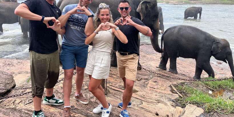 Day Tour to Elephant Orphanage / spice garden - Practical ethics and animal welfare reality checks