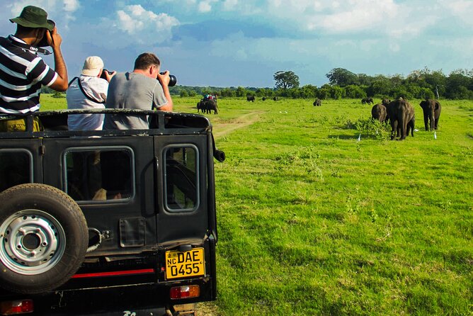 Day tour to Minneriya National Park,Sigiriya & Dambulla from Kandy - Aurvedic Village stop and food tastings, why they are included