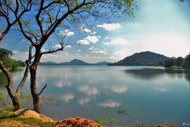 Day tour to Minneriya National Park,Sigiriya & Dambulla from Kandy - Food and breaks across the day, what to expect if you get a great driver