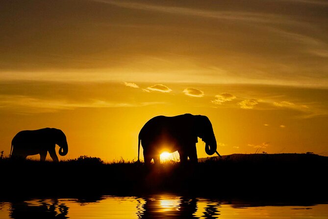Day tour to Minneriya National Park,Sigiriya & Dambulla from Kandy - Price and value: the $34.20 base plus the real add-ons