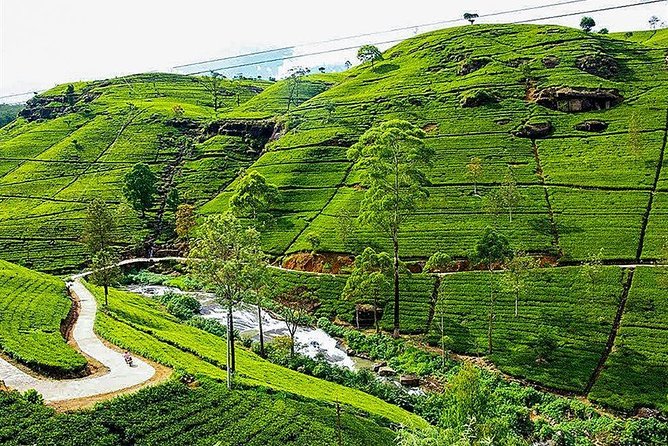 Day Tour to Nuwara Eliya from Kandy by Lux Tours Lanka - Key highlights at a glance