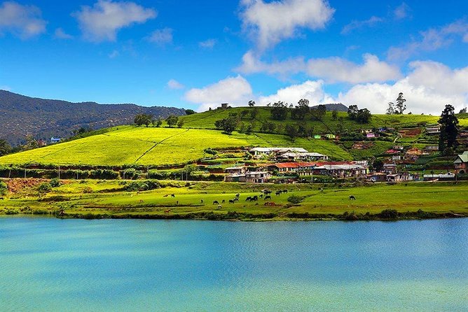 Day Tour to Nuwara Eliya from Kandy by Lux Tours Lanka - Why Nuwara Eliya feels like a British pause in Sri Lanka