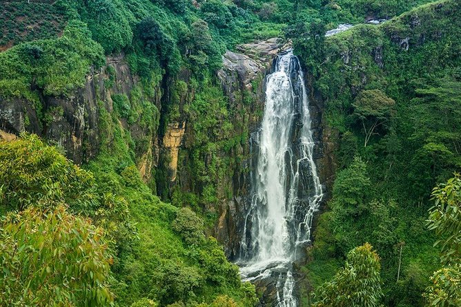 Day Tour to Nuwara Eliya from Kandy by Lux Tours Lanka - Gregory Lake: swan boats, pony rides, and the speedboat reality